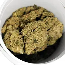 MedCan Isando TS T24 Tokoloshe Sherbet Medical Cannabis Flower