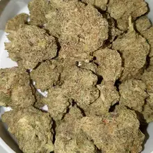 Miracle Valley Canada MAC-1+ T25 Miracle Alien Cookies Medical Cannabis Flower