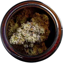 Mystery Mountain™ ICM MNZ T28 Ice Cream Mintz Medical Cannabis Flower
