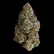 Flower Photo of Mystery Mountain™ Medical Cannabis TBG MNG T8:C10