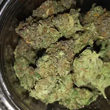 Noidecs T14 Shishkaberry Medical Cannabis Flower