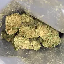 Noidecs MVA T20:C4 Kosher Kush Medical Cannabis Flower