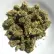 Flower Photo of Noidecs Medical Cannabis T20:C4