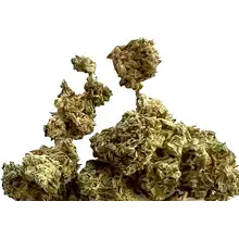 Noidecs T22 Sour Kush Medical Cannabis Flower