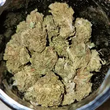 Noidecs T23 Green Gelato Medical Cannabis Flower