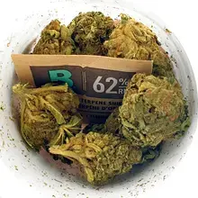Noidecs T17 Night Queen Medical Cannabis Flower