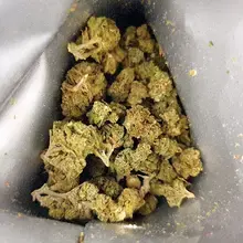 Noidecs T18 Humble Warrior Medical Cannabis Flower