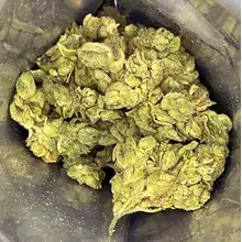Noidecs T19 Gorilla Glue #4 Medical Cannabis Flower