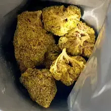 Ostara Solar T25 Bazookas Medical Cannabis Flower
