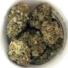 Aurora® Pedanios T10:C10 Equiposa Medical Cannabis Flower