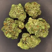 Rua Bioscience Puawai T20 Blue Twist Medical Cannabis Flower