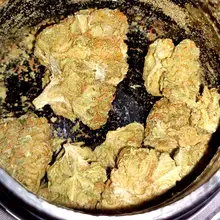 Canopy Growth® HSK T8:C7 Skunk Haze CBD Medical Cannabis Flower