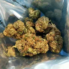 4C Labs PKK T21 Pink Kush Medical Cannabis Flower