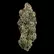 Flower Photo of Superseed Medical Cannabis CK CTY T30