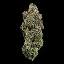 Superseed CK CTY T28 Cake City Medical Cannabis Flower