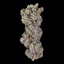 Superseed GLT CCK T30 Gelato Cheesecake Medical Cannabis Flower