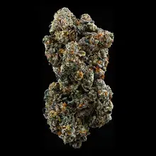 Superseed GTI PI T30 Gelatti Pie Medical Cannabis Flower