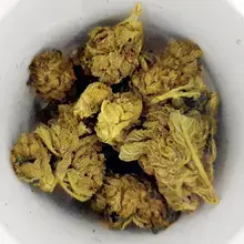 Green Organic Dutchman™ Organic T23 Maple Kush Medical Cannabis Flower