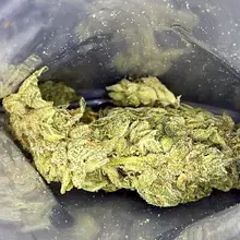Therismos T20 Gorilla Glue #4 Medical Cannabis Flower