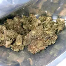 Tilray® T22 Headband Medical Cannabis Flower