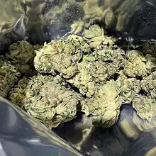 Tilray® T25 Master Kush Medical Cannabis Flower