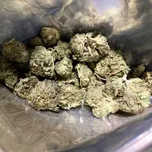 Tilray® T22 Master Kush Medical Cannabis Flower