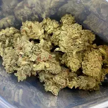 Tilray® ISS T22 Island Sweet Skunk Medical Cannabis Flower