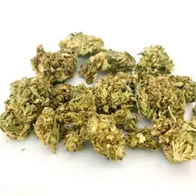 Tilray® T8:C8 Warlock Medical Cannabis Flower