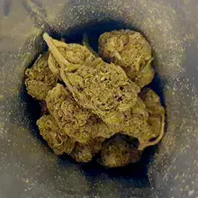 Together Pharmacy GO T20 Glueberry OG Medical Cannabis Flower