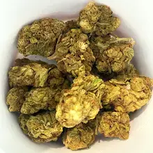 Together Pharmacy Andromeda T19 Kush Kush Medical Cannabis Flower