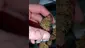 Video Thumbnail: WestPacks420