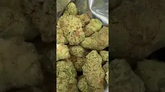 Strawberry Guava Minis T22 NUGS 1 | UK Medical Cannabis Strain #ukmedicalcannabis #ukmedical