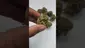 Video Thumbnail: My Medical 420