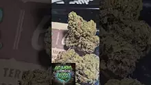 AzztecMedia Video Thumbnail