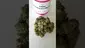 Video Thumbnail: Medical UK Cannabis