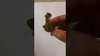 Grow By Bathera, Fine Cookies, 26 THC flower, UK Medical Cannabis from Mamedica.