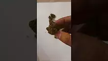 My Medical 420 Video Thumbnail