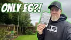 Phant | D1 Mini's | UK Medical Flower Review