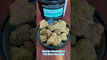 420Medical Video Thumbnail