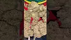HERDADE DAS BARROCAS #fyiシ゚viral #ukcannabis #viralvideo #grow #dnb #drumandbass #music