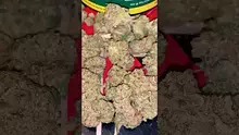 Casper Video Thumbnail