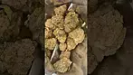 Newest batch of LA KUSH CAKE (better?!?)