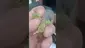 Video Thumbnail: Indiana Joe