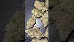 Cookies®️ | Hawaiian Rain C HR T31 Medical Cannabis Flower #cannabisbenefits #cannabisdaily #legal