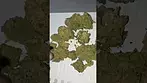 Hexacan - Mango (Hexa01) (UK Medical Cannabis Prescription)