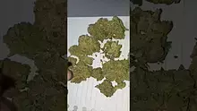 ScottiDunCanna Video Thumbnail