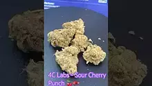 Smokey Mo Video Thumbnail
