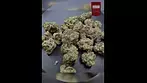 4C Labs  Verte West Alien Koffe (AKF) 18 THC