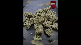 4C Labs  Verte West Alien Koffe (AKF) 18 THC
