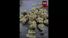 UK Medicanna Video Thumbnail